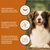 Nourriture humide Wildfang® – qualité BARF