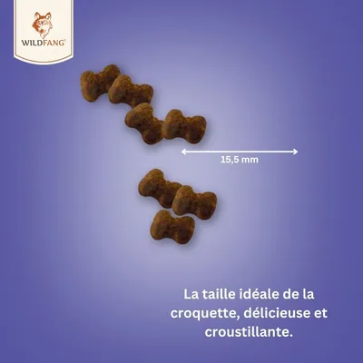 Wildfang® Collations fonctionnelles - système immunitaire pour chiens