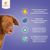 Wildfang® Collations fonctionnelles - système immunitaire pour chiens