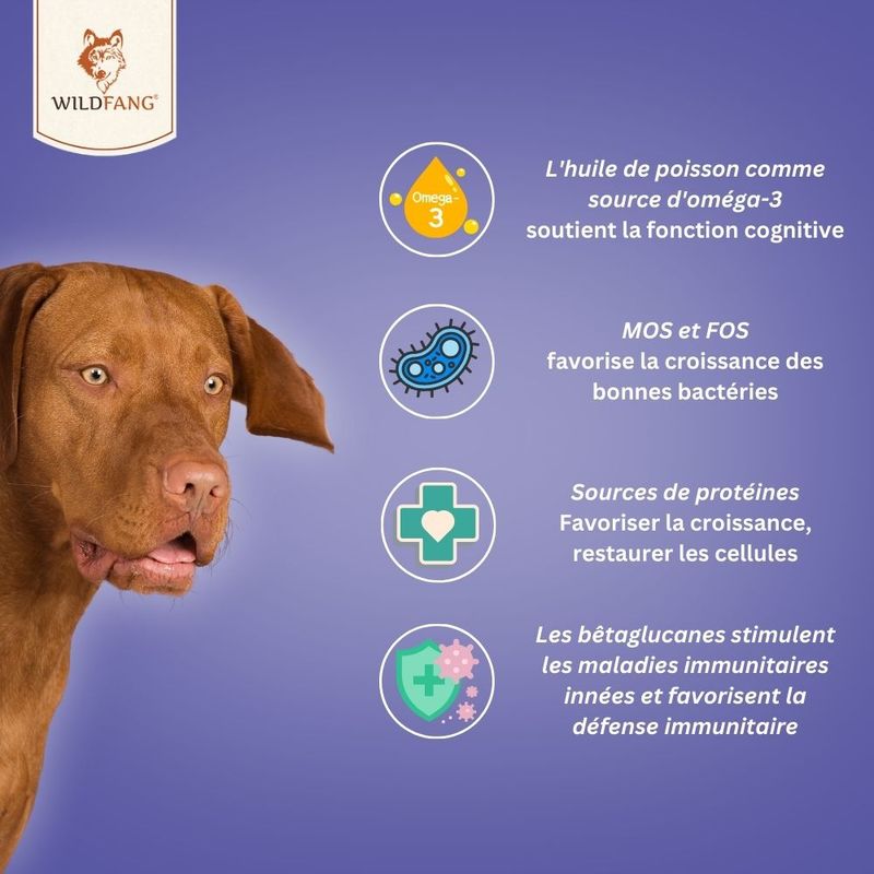 Wildfang® Collations fonctionnelles - système immunitaire pour chiens