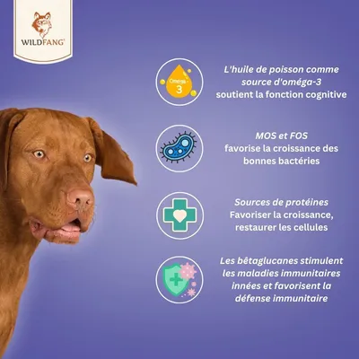 Wildfang® Collations fonctionnelles - système immunitaire pour chiens
