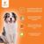 Wildfang® Snacks digestifs fonctionnels pour chiens