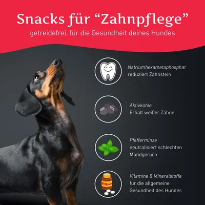 Wildfang® Snacks fonctionnels pour soins dentaires pour chiens