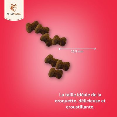 Wildfang® Snacks fonctionnels pour soins dentaires pour chiens