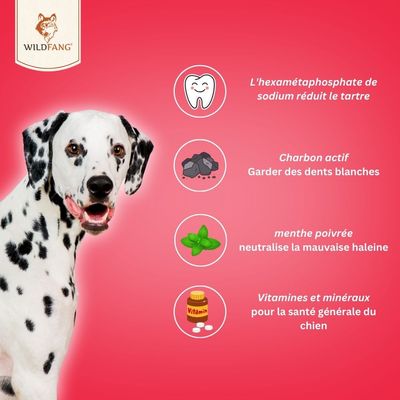 Wildfang® Snacks fonctionnels pour soins dentaires pour chiens