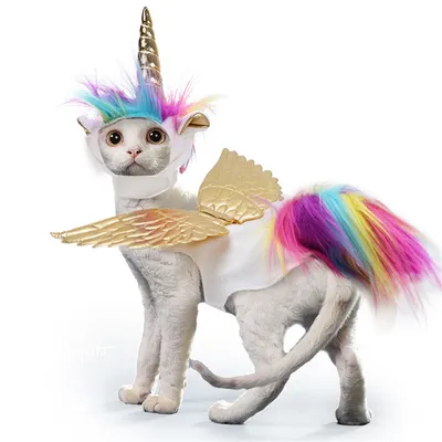 IntiMeg Costume de licorne pour chat IntiMeg Costume de licorne pour chat