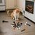 Jouet imprimé Hallowen pour chat
