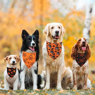 IntiMeg Halloween-Bandanas für Hunde IntiMeg Halloween-Bandanas für Hunde