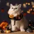 IntiMeg Collier et bonnet tricotés pour chat Halloween