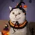 IntiMeg Collier et bonnet tricotés pour chat Halloween