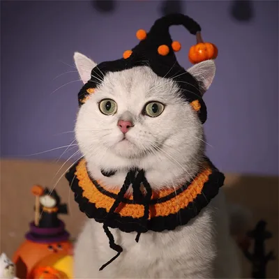 IntiMeg Collier et bonnet tricotés pour chat Halloween