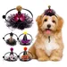 IntiMeg Halloween-Hüte für Hunde und Katzen, 5er-Set