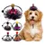 IntiMeg Halloween-Hüte für Hunde und Katzen, 5er-Set IntiMeg Halloween-Hüte für Hunde und Katzen, 5er-Set