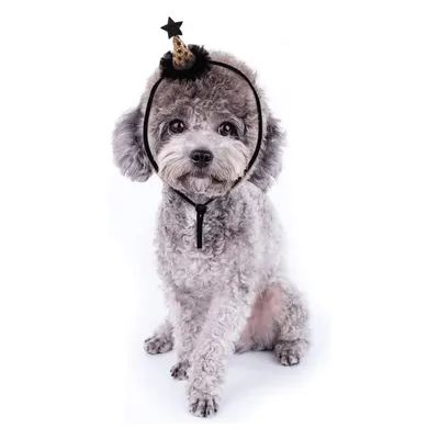 IntiMeg Halloween-Hüte für Hunde und Katzen, 5er-Set IntiMeg Halloween-Hüte für Hunde und Katzen, 5er-Set