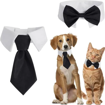 IntiMeg Juego de 2 corbatas y pajaritas para perros y gatos