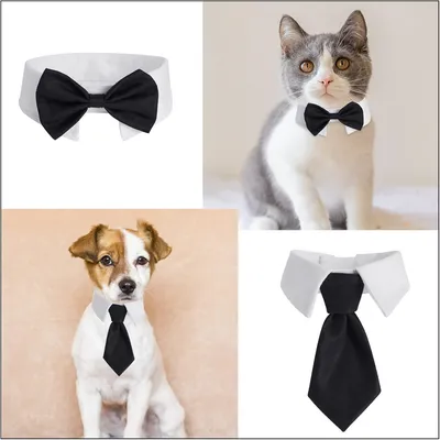 IntiMeg Juego de 2 corbatas y pajaritas para perros y gatos