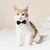 IntiMeg Lot de 2 Cravates et nœuds papillon pour Chien et Chat