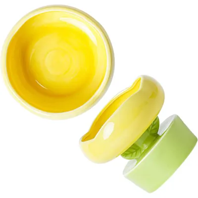 Gamelle Gamelle anti-renversement en céramique pour chat