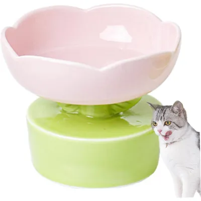 Gamelle Gamelle anti-renversement en céramique pour chat