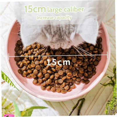 Gamelle Gamelle anti-renversement en céramique pour chat