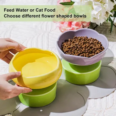 Gamelle Gamelle anti-renversement en céramique pour chat