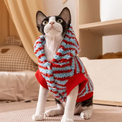 IntiMeg Pull-over pour Petit Chat,Avec anneau de traction