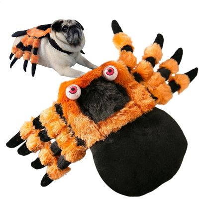 Coco Pup Costume d'araignée pour chien
