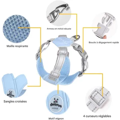 IntiMeg Harnais croisé avec laisse pour Chien