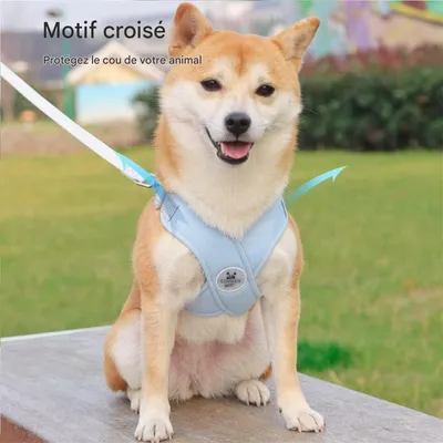 IntiMeg Harnais croisé avec laisse pour Chien