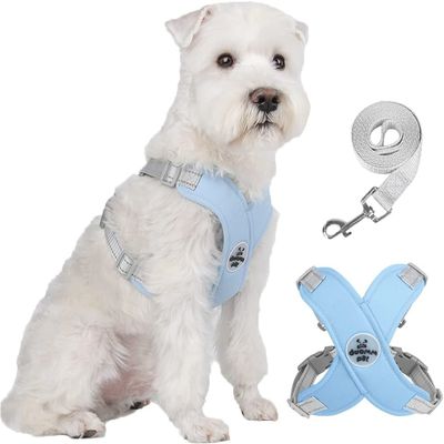 IntiMeg Harnais croisé avec laisse pour Chien