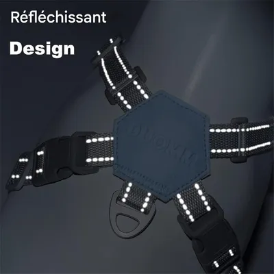 IntiMeg Harnais croisé avec laisse pour Chien