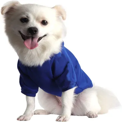 IntiMeg Pullover für Hunde, Blau