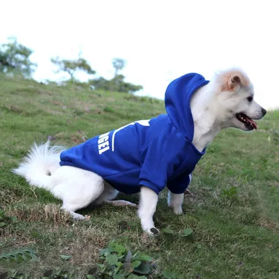 IntiMeg Pullover für Hunde, Blau
