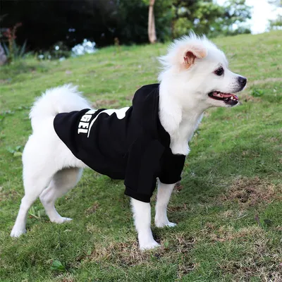 IntiMeg Pullover für Hunde, Blau