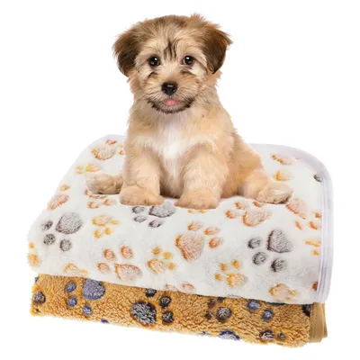 IntiMeg Lot de 2 Couvertures en Flanelle pour Chat en Chien IntiMeg Lot de 2 Couvertures en Flanelle pour Chat en Chien