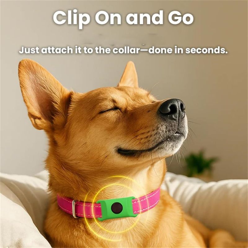 IntiMeg Colliers anti-puces pour Chien,Contient deux capsules