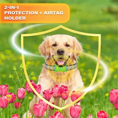 IntiMeg Colliers anti-puces pour Chien, Contient deu