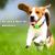 IntiMeg Colliers anti-puces pour Chien,Contient deux capsules