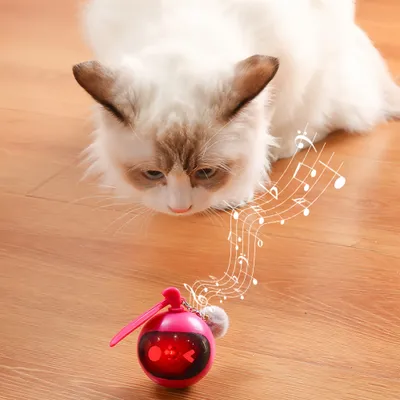 FurryFusion Balle jouet pour chat