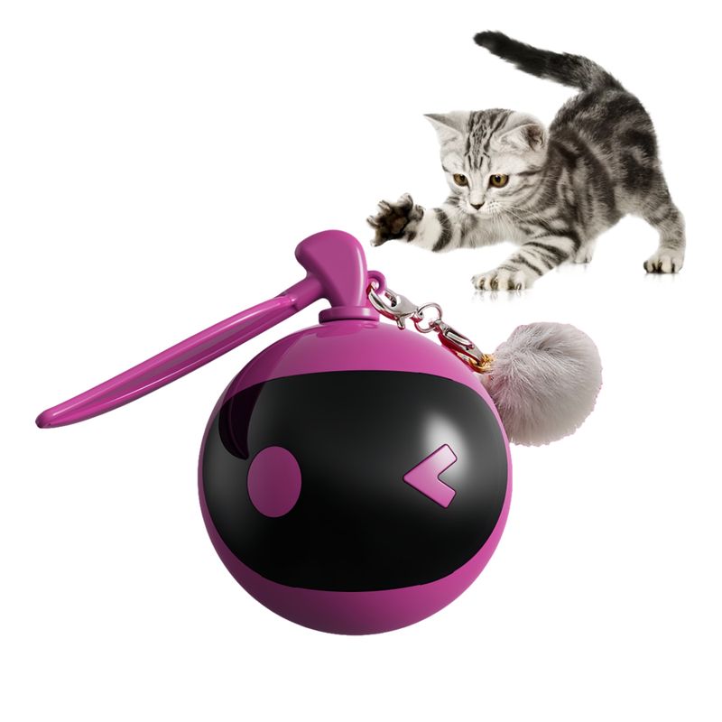 FurryFusion Balle jouet pour chat