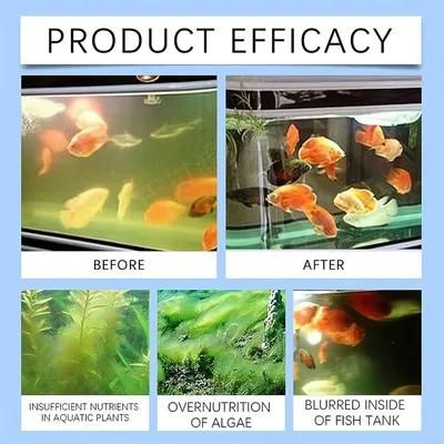 IntiMeg Purificateur d'Eau Anti-algues pour Aquarium