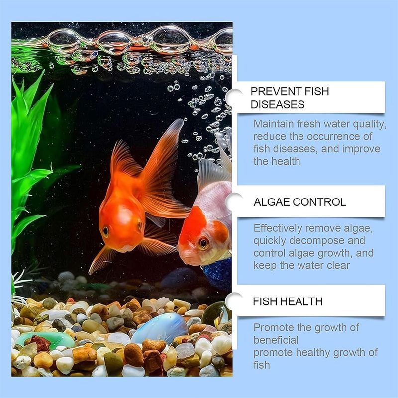 IntiMeg Purificateur d'Eau Anti-algues pour Aquarium