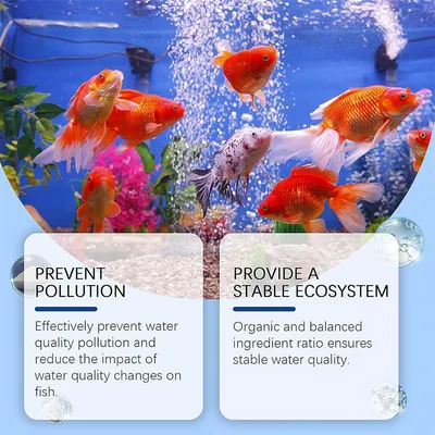 IntiMeg Purificateur d'Eau Anti-algues pour Aquarium