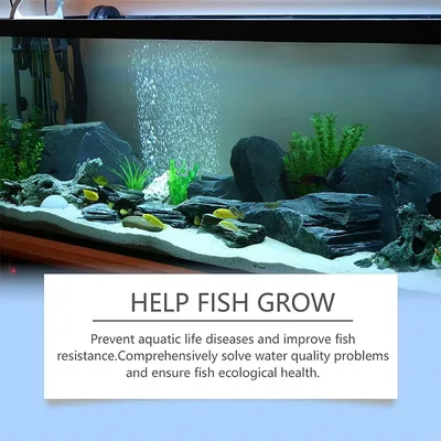 IntiMeg Purificateur d'Eau Anti-algues pour Aquarium