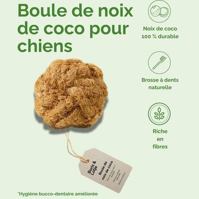 Boule de coco pour chiens – Jouet à mâcher 100 % naturel
