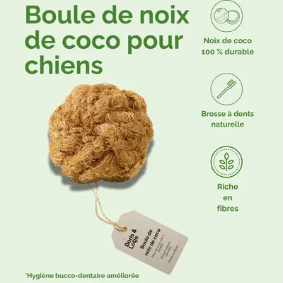 Boule de coco pour chiens – Jouet à mâcher 100 % naturel