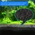 IntiMeg engrais de base d'aquarium sable de fond 1000 g