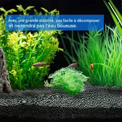 IntiMeg engrais de base d'aquarium sable de fond 1000 g