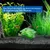 IntiMeg engrais de base d'aquarium sable de fond 1000 g