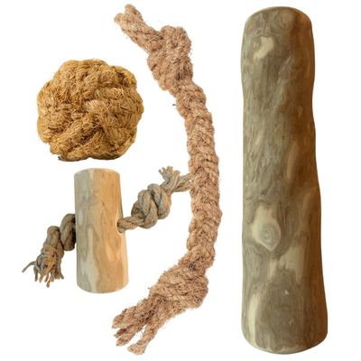 Boris & Lotje - Jouets à mâcher - Pack de base jouets pour chien